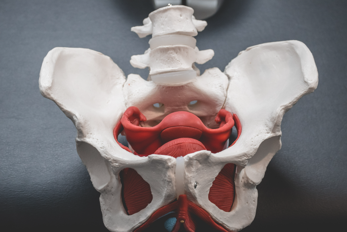 Female Bladder, Bowel & Gynaecological Problems